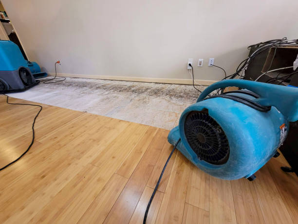 Professional Water Removal technician working in Bokeelia, FL